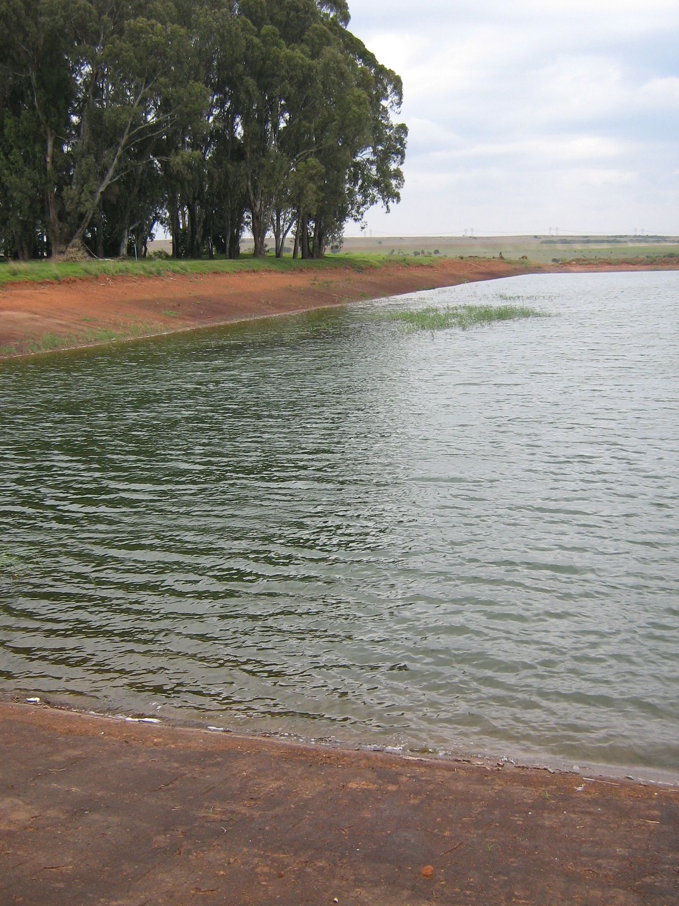 Waste Water Treatment Ponds
