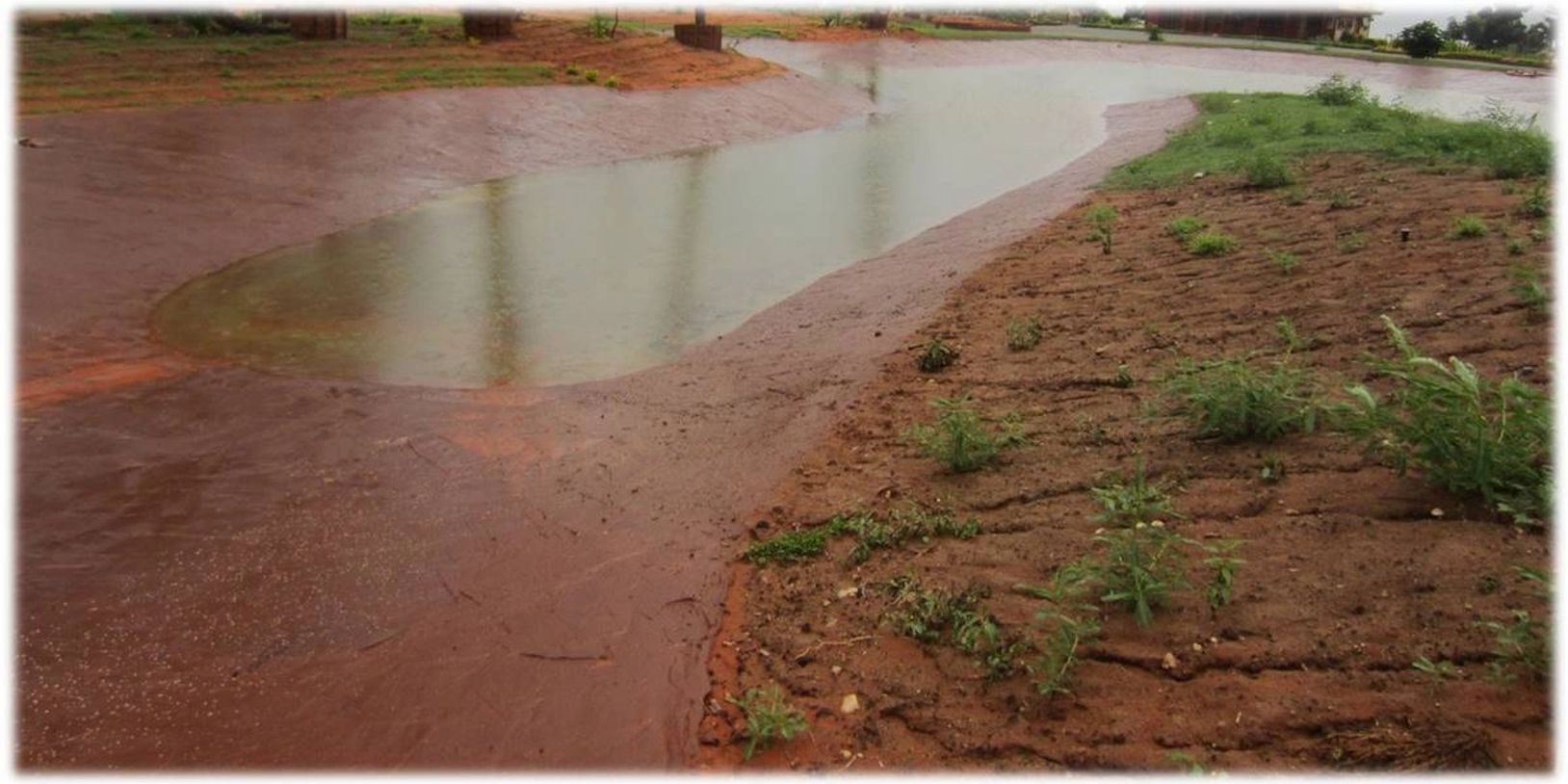 Rain Water Harvesting