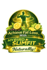 HYBIRD SLIMFIT 