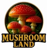 Mushroom Land Qatar