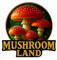 Mushroom Land Qatar