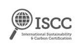 BCC logo with a magnifying glass highlighting a globe.