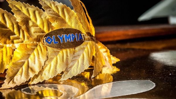 Yellow leaf with Olympiat sticker.