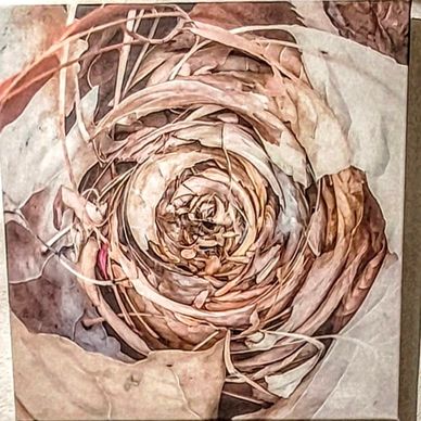 Abstract art: Swirling dried leaves form a spiral, creating a textured, organic pattern.