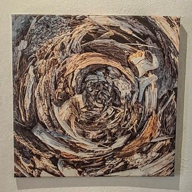  Close-up of dried leaves forming a dynamic, abstract circular composition by artist  Jay shaffer.