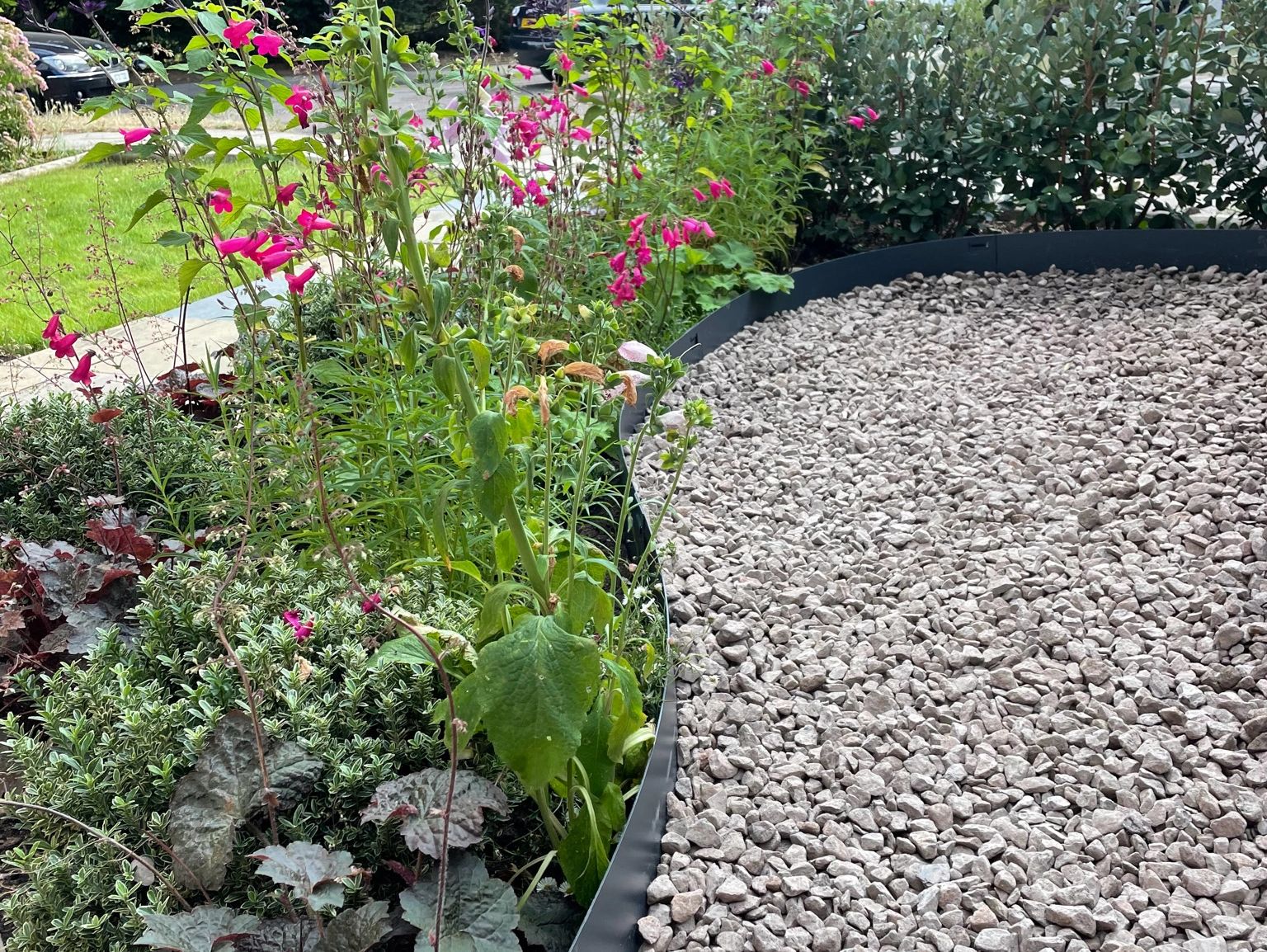 Low maintenance front garden with curved herbaceous border.