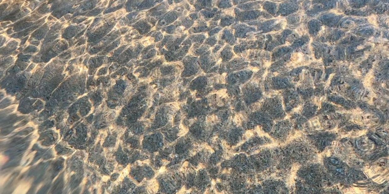 All living bodies are made of water. How do Tides affect your healing process?