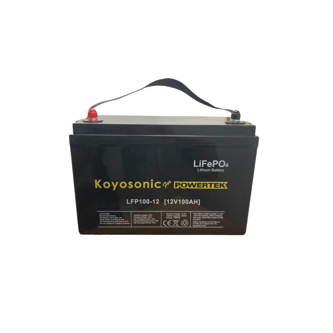 LFP100 - Batteries selection