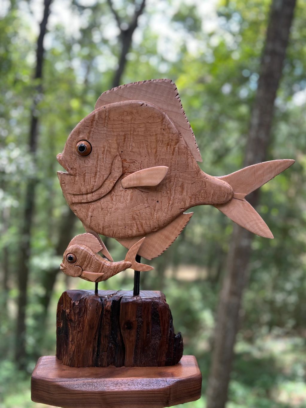 Mandolin fish 