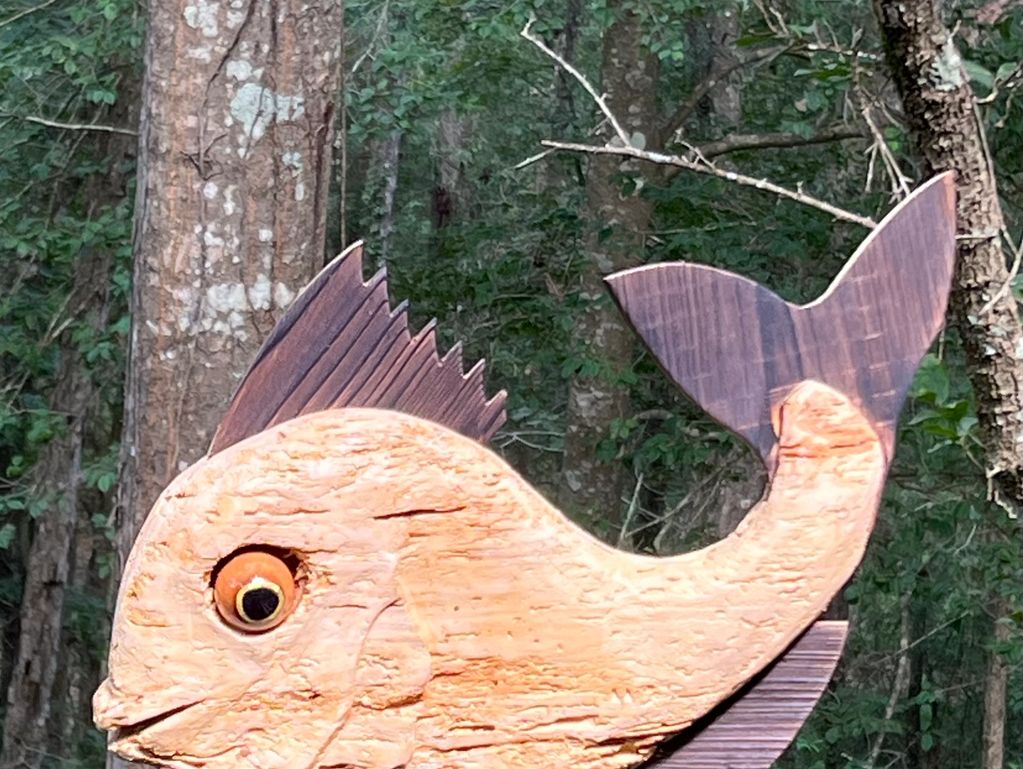 Bug eaten piece of wood I've passed over 1000 times in many years.  This fish is very light weight. 