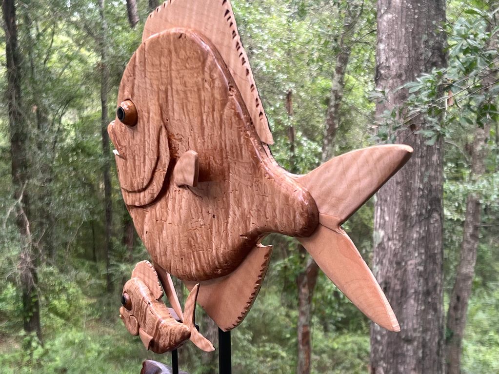mandolin fish