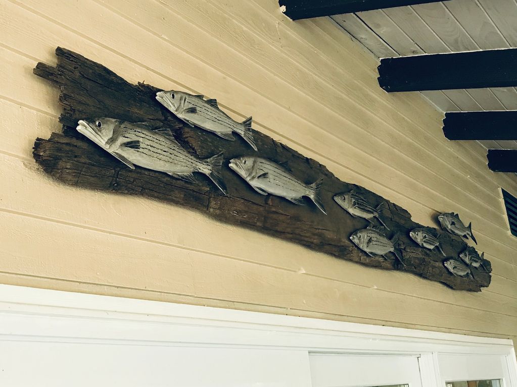 A School of Stripers