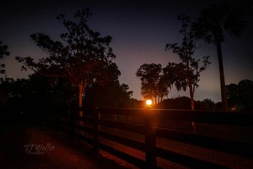 night photography | TJ Waller Photography | photography classes