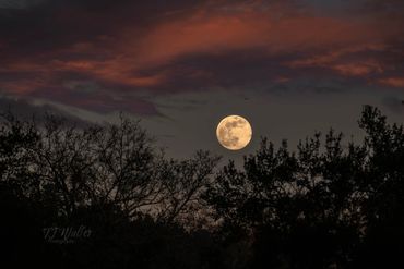 Full Wolf Supermoon rising 1/2/26 as the sun set | Photography Lessons | TJ Waller Photography