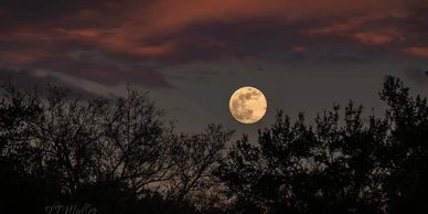 Full Wolf Supermoon rising 1/2/26 as the sun set | Photography Lessons | TJ Waller Photography