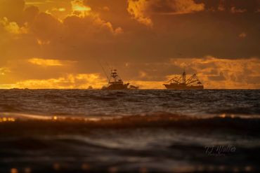 Gone Fishin' (4312Z9)