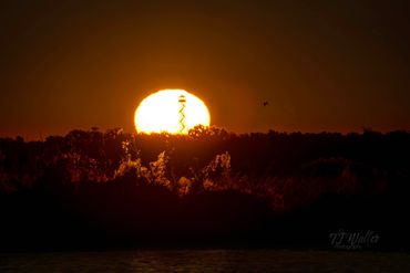 Sunrise with firetower in front of the sun | Photography Lessons | TJ Waller Photography