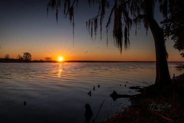 Sunrise on the St. Johns River in Geneva, Fl | Photography Lessons | TJ Waller Photography