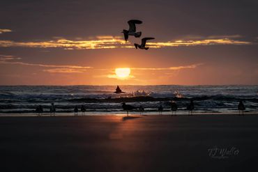 Mandatory Morning Meeting (3787Z9)