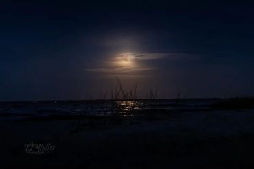 The full Pink Moon rising on the horizon above Lk. Harney in Geneva, Fl. By TJ Waller