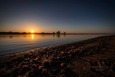 Beautiful Sunrise, St Johns River, landscape photography, tj waller photography