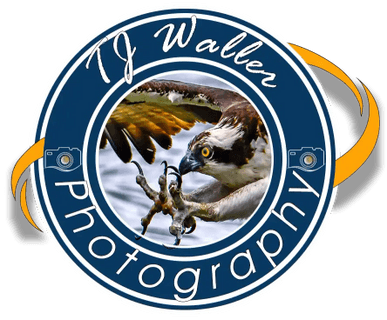 TJ Waller Photography