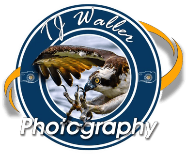 TJ Waller Photography