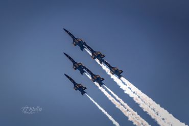 The Blue Angels (2521D500)