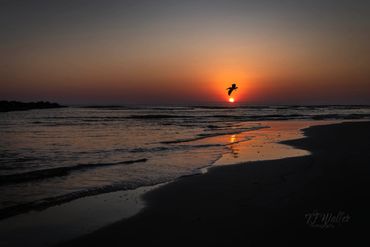 Trying To Touch the Sun (5607Z9)