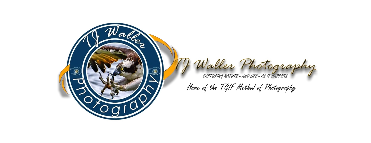 TJ Waller Photography Logo Home of the TGIF Method of Photography