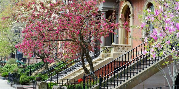 Row of townhouses with blooming pink and purple trees in spring.