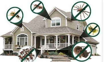 Pest Control 