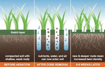 Aeration 
