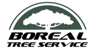 Boreal Tree Service