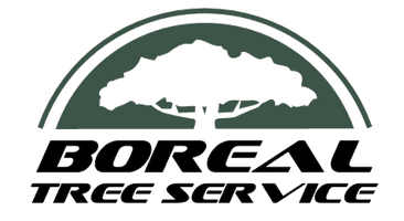 Boreal Tree Service