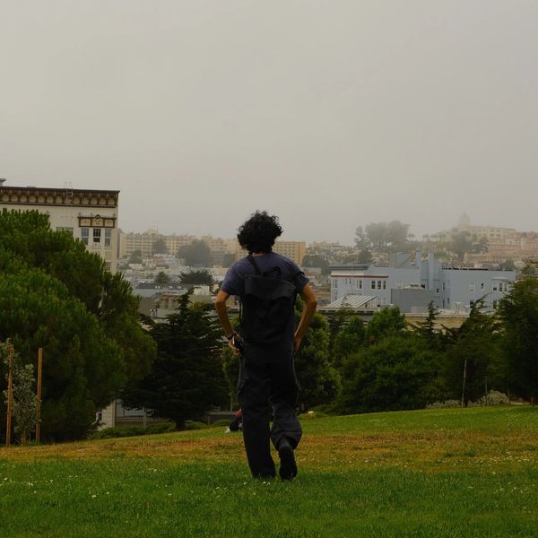 Reinert Webb Walking in San Francisco green grass