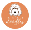 Best Doodles Guadalajara