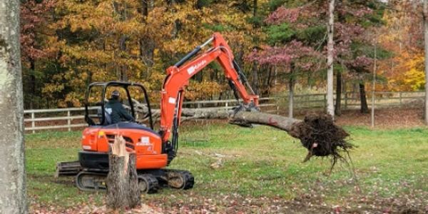 Excavator lifting a tree stump in a colorful autumn setting.