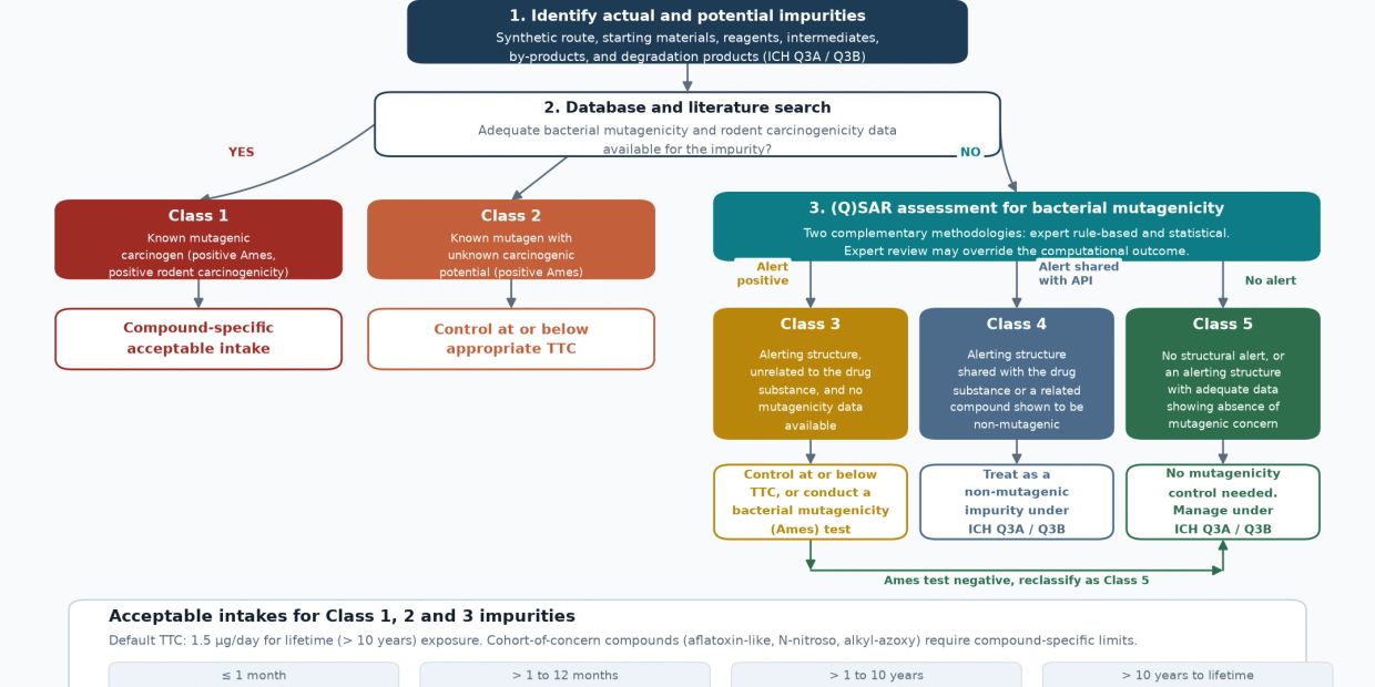 Flowchart for identifying and managing chemical impurities based on mutagenicity.