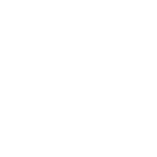 Faire La Fete Inc.