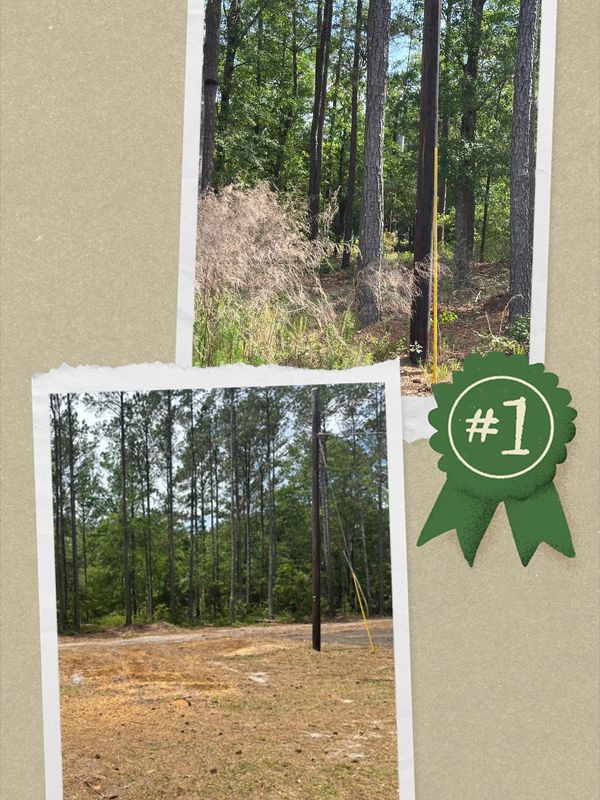 Land clearing, underbrush removal, grading, bush hogging