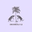 The DRODROLAGI
