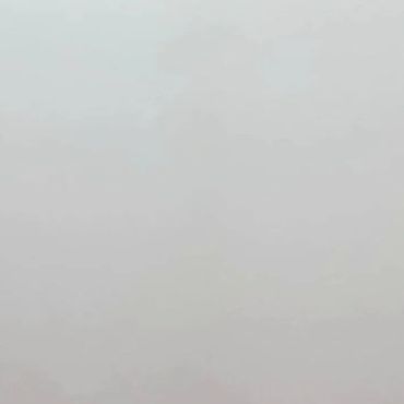 Minimalist White Backdrop