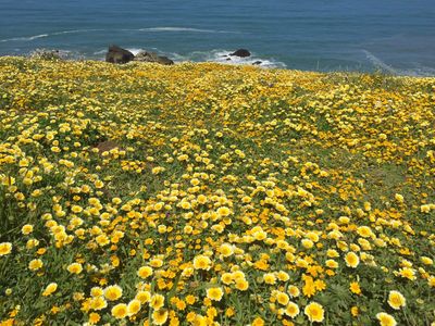 Mori Point, Pacifica