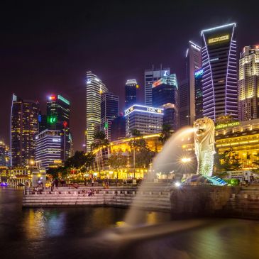 Night view of Singapore skyline with Merlion fountain.