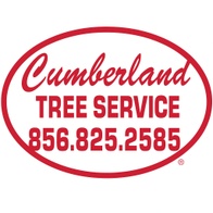 Cumberland Tree Service