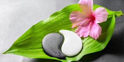 Ying and Yang stones placed on a green leaf and a pink flower