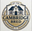 Cambridge Bred Movers
