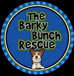 The Barky  Bunch Rescue