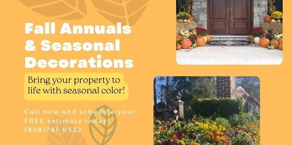 Fall annuals and seasonal decorations brighten up your property with vibrant colors and cozy charm.